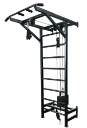 Multifunctional Swedish Wall with Pull-Up Bar Block Model