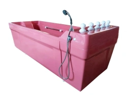 Golfstream Hydrotherapy Bath with Water Light System PDM/G16/C