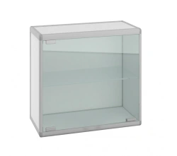 Standard Series Laboratory Wall Cabinet: SHN.01.01