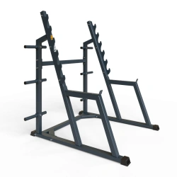 Squat Rack for Leg Muscle Training BF-309